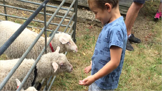 Farm Animals came to see us